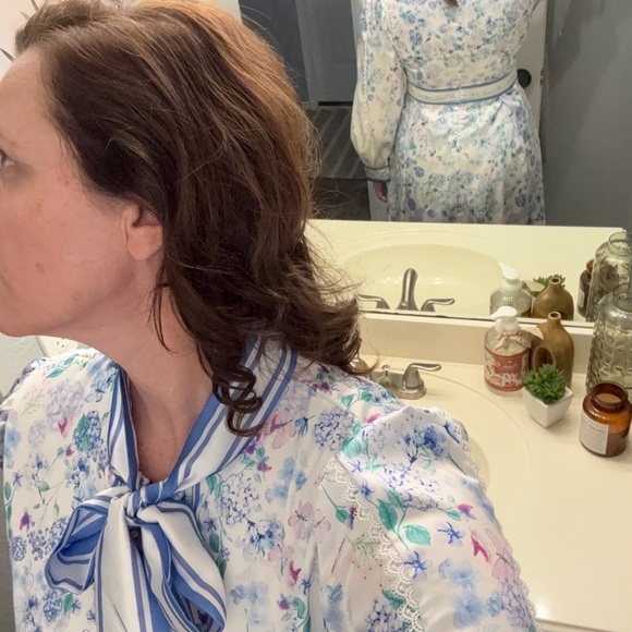 Chic Long Sleeve Floral Dress in Blue and White - Picture 4 of 14